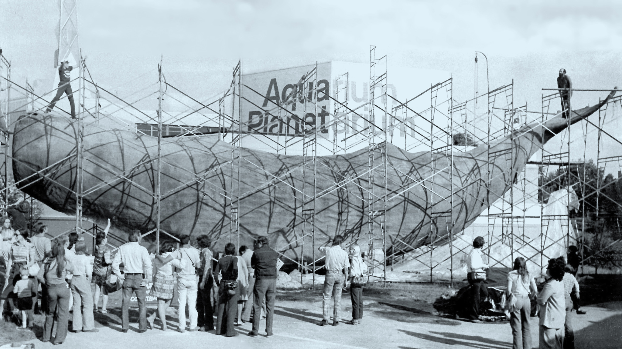 Conny the whale surrounded by scaffolding as the sculpture nears completion