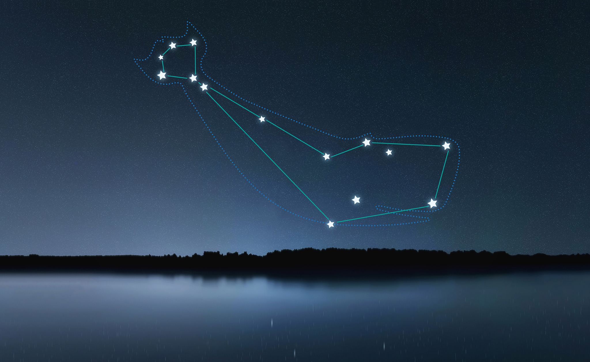 Illustration of Conny the Whale as a constellation above the water at night